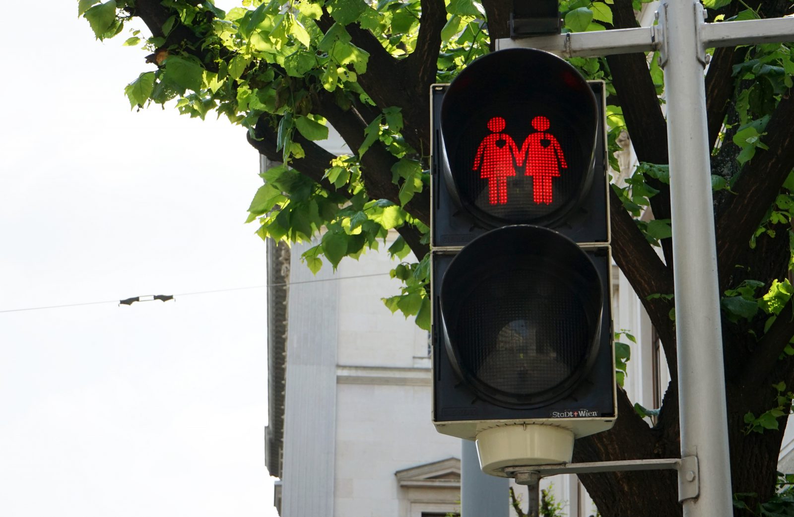 ▲圖片來源／轉自想想論壇   維也納街頭的紅綠燈小情侶