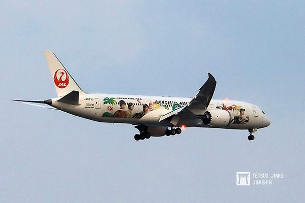 鐵份補給】即將畫下句點的日本航空「ARASHI」彩繪機| 想想論壇