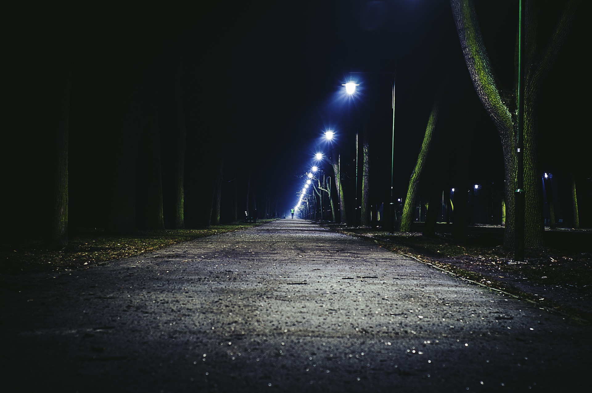 來源:https://pixabay.com/photo-933182/